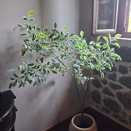 בית הארחה Filiantra 3*